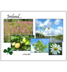 West of Ireland images - blank card