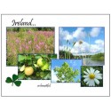 West of Ireland images greeting card