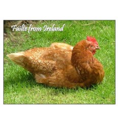 Our Famous Chicken greeting card