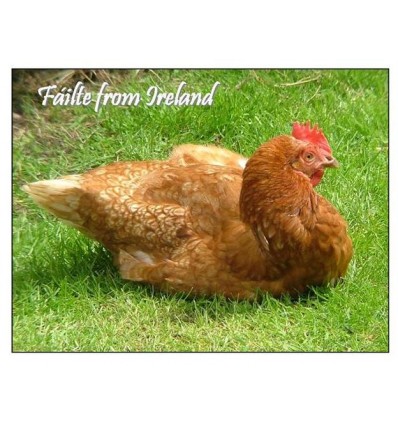 Fáilte from Ireland