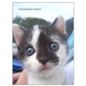 Irish Kitty greeting card