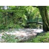 Milltown Woods, Lurganboy card