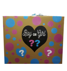 Baby Gender Reveal Box