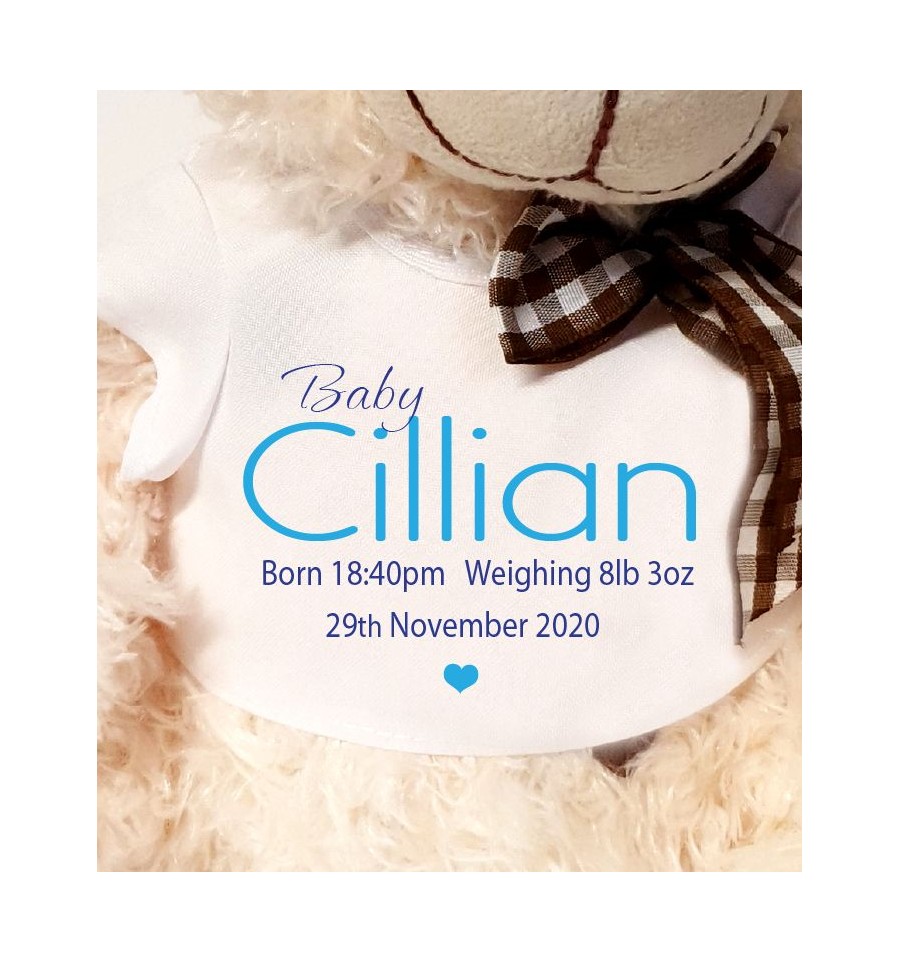 personalised new baby teddy