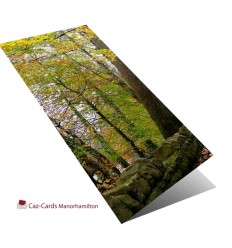 Autumn Leaves greeting card