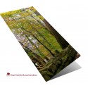Autumn Leaves greeting card