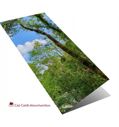 Sky Through The Trees greeting card