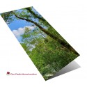 Sky Through The Trees greeting card