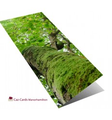 Green leaves on green tree greeting card