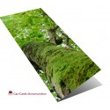 Green leaves on green tree greeting card