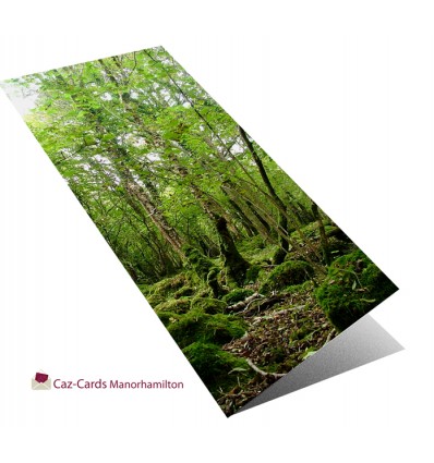 Tree Roots In A Tangle greeting card