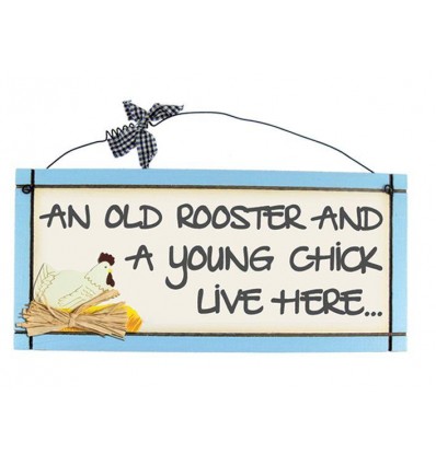 Young Chick Wooden Sentiment Plaque