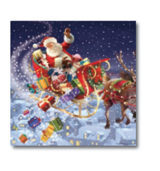 Santa and sleigh Christmas Cards - Irish Cancer Society