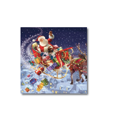 Santa and sleigh Christmas Cards - Irish Cancer Society