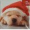 Irish Cancer Society - Puppy Christmas Cards