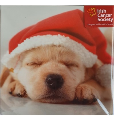 Irish Cancer Society - Puppy Christmas Cards