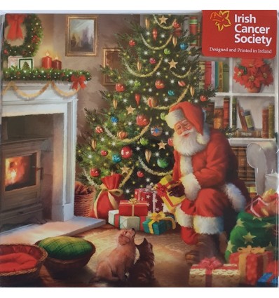 Irish Cancer Society - Santa Christmas Cards