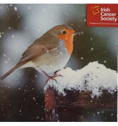 Irish Cancer Society - Robin Christmas Cards