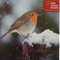 Irish Cancer Society - Robin Christmas Cards