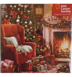 Irish Cancer Society - Christmas Fireside