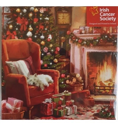 Irish Cancer Society - Christmas Fireside