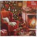 Irish Cancer Society - Christmas Fireside