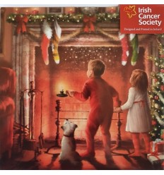 Irish Cancer Society - Christmas Expectations!