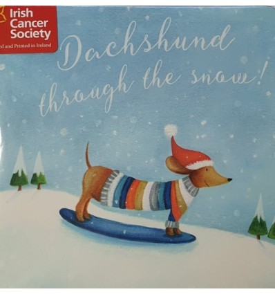 Irish Cancer Society - Dachshund on snowboard!