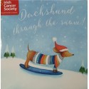 Irish Cancer Society - Dachshund on snowboard!