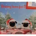 CHILDRENS HEALTH FOUNDATION, CRUMLIN - Pugs Charity Christmas Card