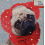 Irish Cancer Society - Cute Pug With Earmuffs Christmas Card