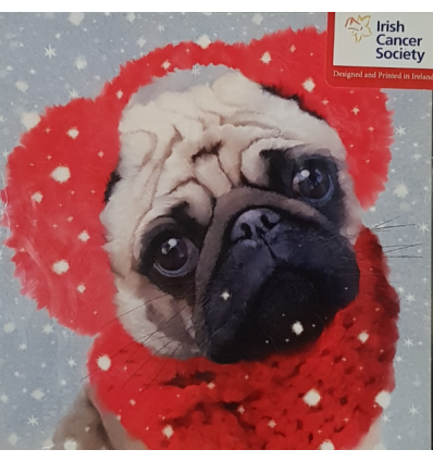 Irish Cancer Society - Cute Pug With Earmuffs Christmas Card