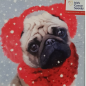 Irish Cancer Society - Cute Pug With Earmuffs Christmas Card