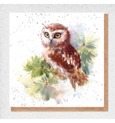 OWL Greeting Card
