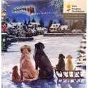 CHILDRENS HEALTH FOUNDATION, CRUMLIN - Cute Dogs Christmas Cards