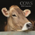 Calendar 2024 Cows