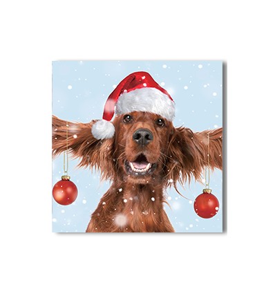 Charity Christmas Cards - Children's Health Foundation 8 pack