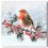 Charity Christmas Cards - Children's Health Foundation 8 pack