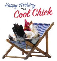 Funny animal Happy Birthday You Cool Chick card