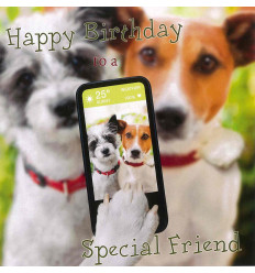 Funny animal card Happy Birthday to a Wonderful girl