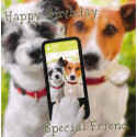 Funny animal card Happy Birthday to a Special Friend