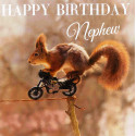Funny animal card Happy Birthday Nephew