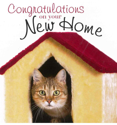 Funny animal card Congratulation on your New Home