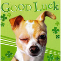 Funny animal card Good Luck