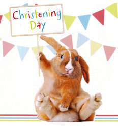 Funny animal card Christening Day