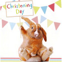 Funny animal card Christening Day
