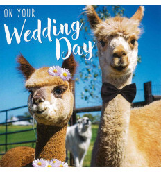Funny animal card Wedding Day