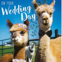 Funny animal card Wedding Day