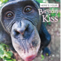 Funny animal card Birthday Kiss!