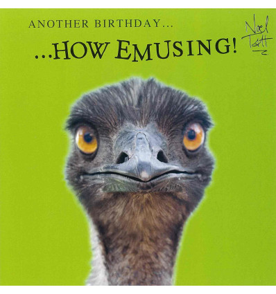 Funny animal card Another Birthday!